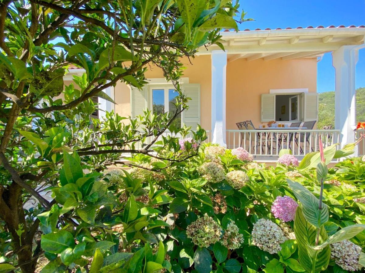 Olga With Private Pool By Dadovillas Villa *